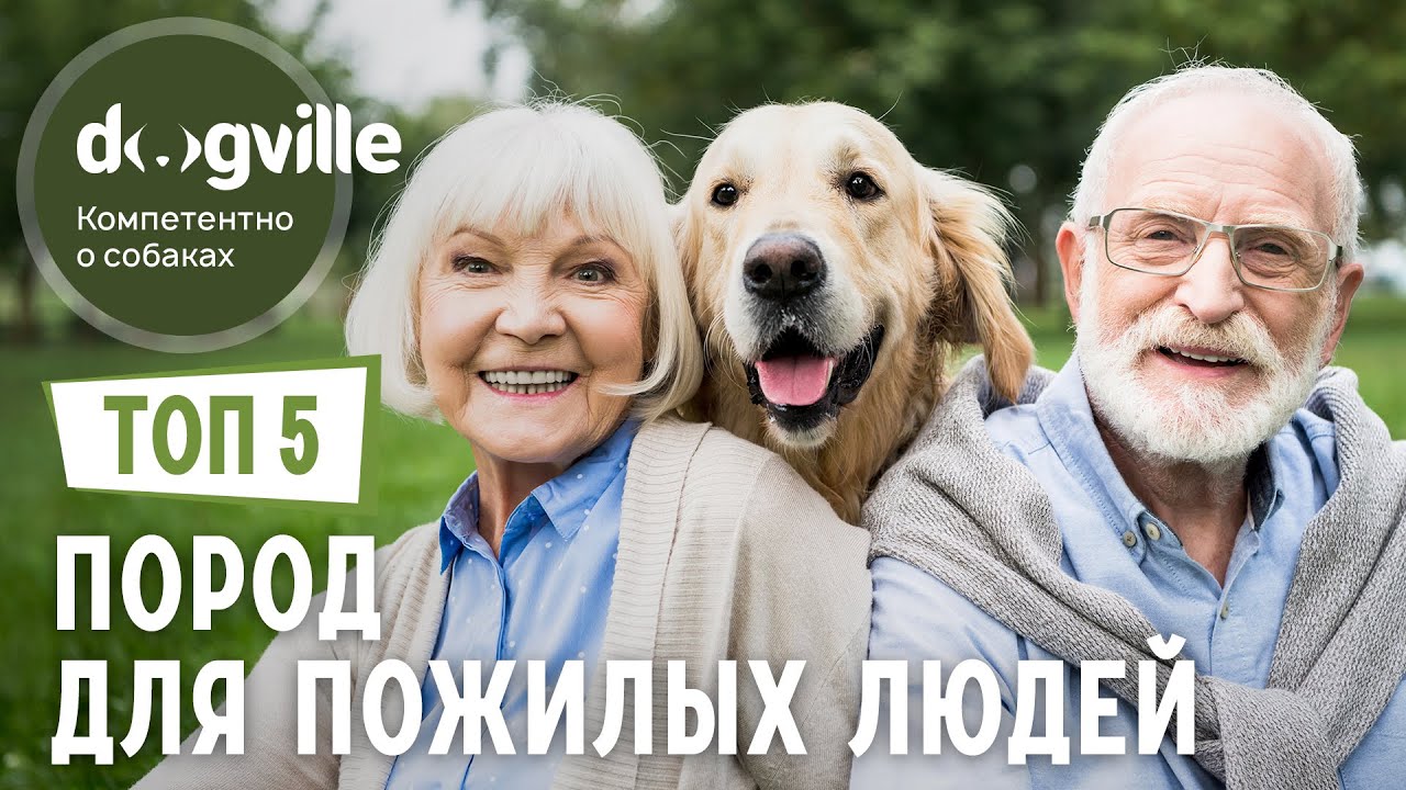 ТОП 5 Пород — для пенсионеров смотреть онлайн