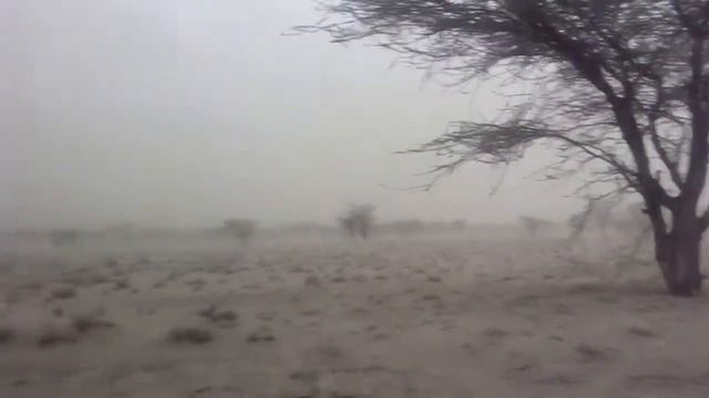 Песчаная буря смотреть онлайн