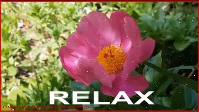 Релакс. Музыка для Расслабления. Вечерняя Медитация перед Сном. Музыка от стресса смотреть онлайн