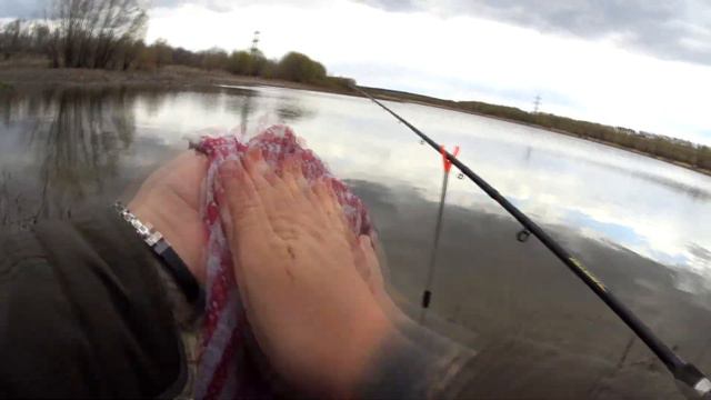 Херабуна против Фидера. Ловим карася на бывшем платнике смотреть онлайн