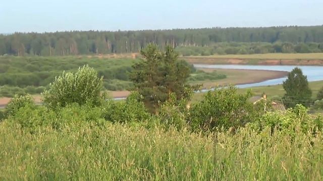 р.Молома в нижнем течении - красота... смотреть онлайн