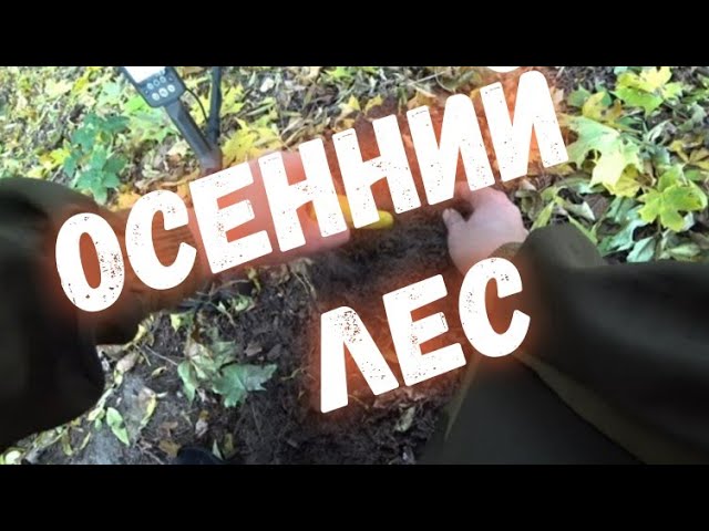 #КОП Несколько дней в осеннем лесу (не вошедшее 2021) смотреть онлайн