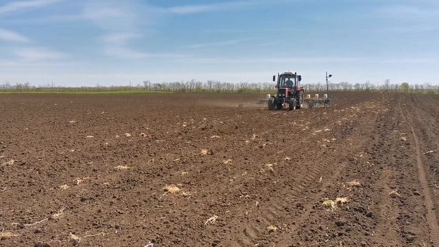 Посев подсолнечника Пионер и Кассад Семанс. Как 100% вычислить норму высева на гектар? смотреть онлайн