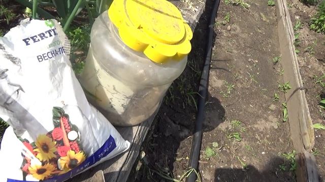 Июнь, капуста. смотреть онлайн