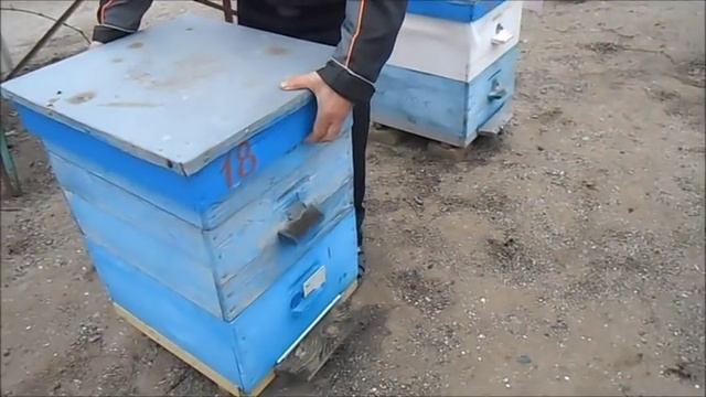 Где формируется клуб ? смотреть онлайн