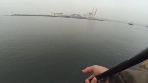 Секреты успешной ловли саргана на бомбарду! Как наловить саргана когда он не клюёт. Рыбалка на море