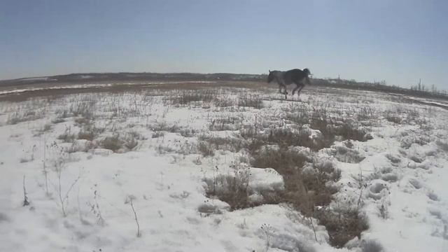 Прогулка со Спотиком в полях смотреть онлайн