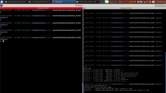 Minicurso Vue.js: Vue Dev Tools смотреть онлайн