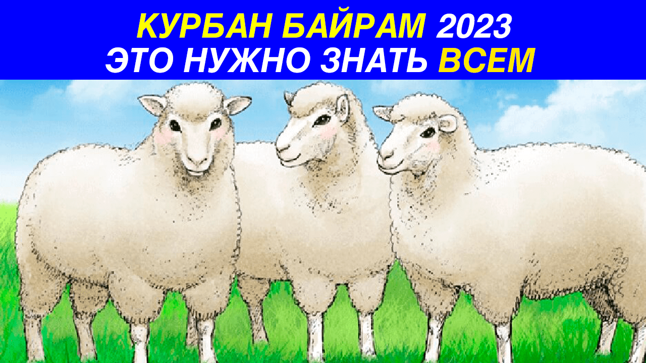 ВАЖНАЯ ИНФОРМАЦИЯ НА КУРБАН БАЙРАМ 2023! ЗУЛЬ ХИДЖА И ДЕНЬ АРАФА! КУРБАН БАЙРАМ НАЧАЛО И КОНЕЦ! смотреть онлайн