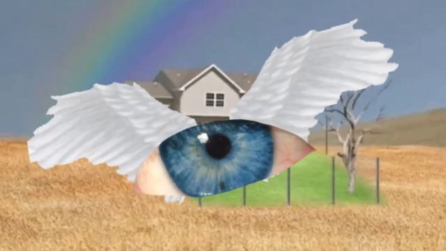 Photo ID || Animation Meme || Flipaclip смотреть онлайн