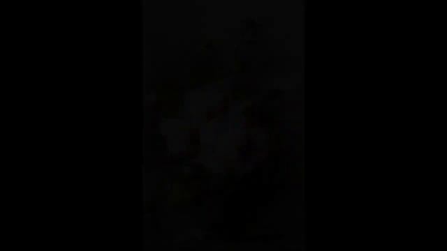 Маргарета Roosenboom (Roosenboom Margaretha) картины великих художников смотреть онлайн