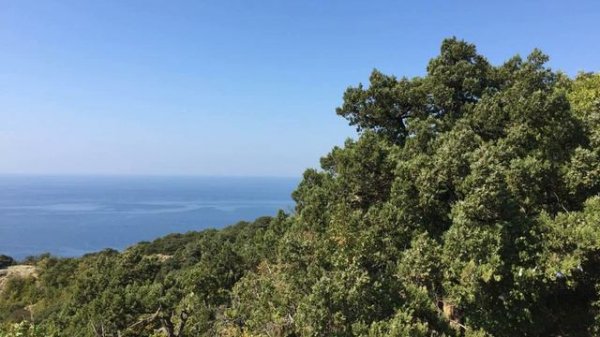 Atrium Hotel - Anapa - Russian Federation