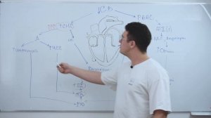 ❤Хроническая сердечная недостаточность