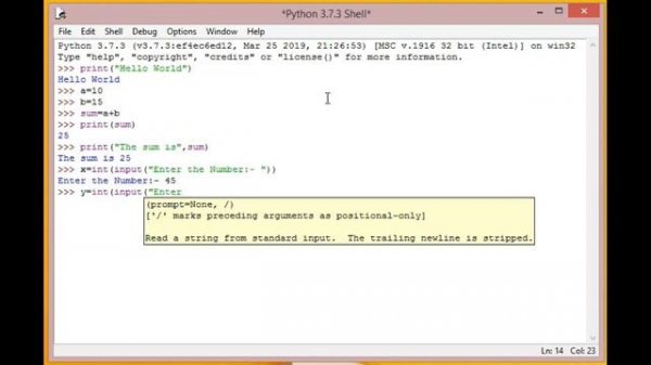 Python functions: print(), input(), int() and float()