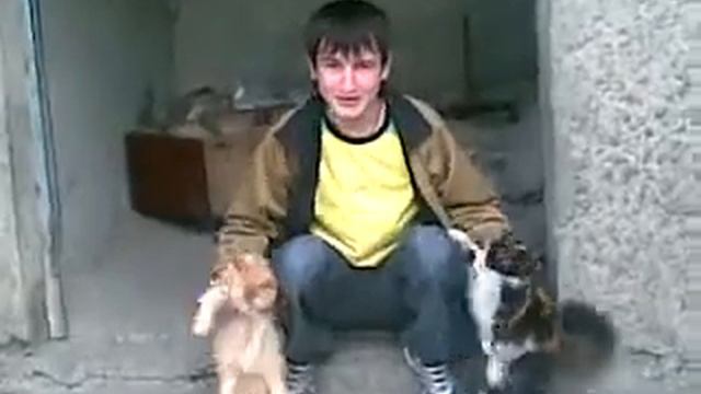 со мной мои коты дикий угар смотреть онлайн