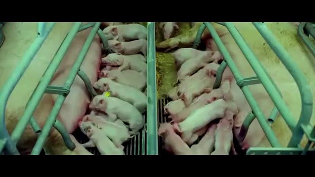 Землю захватили злобные пришельцы — люди! смотреть онлайн