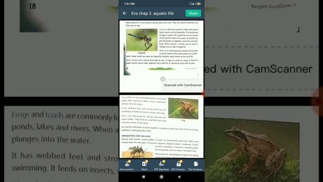 Class 5 Evs chapter 3 Aquatic Life смотреть онлайн