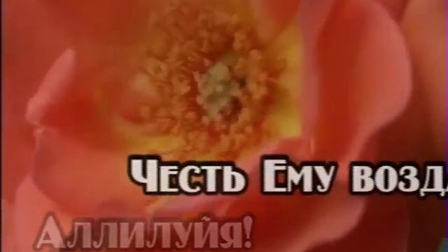 Христианское караоке - Аллилуйя! смотреть онлайн