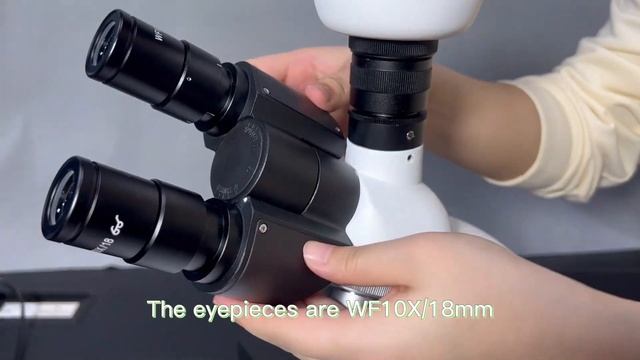 Biological Microscope Digital Camera B204TR Trinocular Model Factory Supply смотреть онлайн