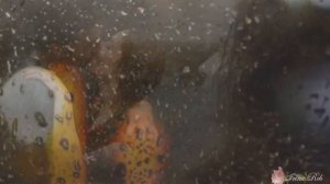 В серых каплях дождя