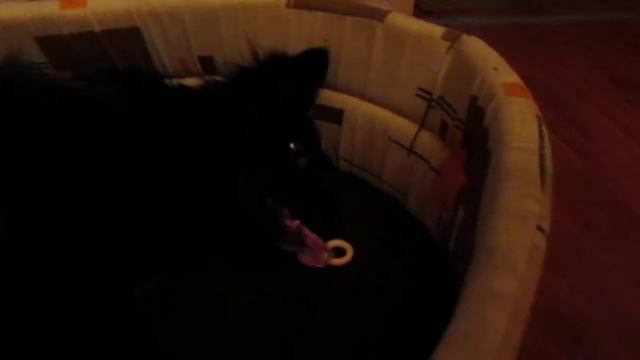 MVI 3154 смотреть онлайн