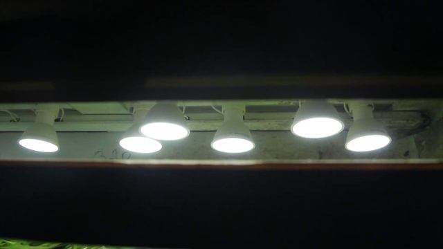 Самодельная крышка для аквариума с LED лампами из строительного магазина. ГОД ЭКСПЛУАТАЦИИ смотреть онлайн