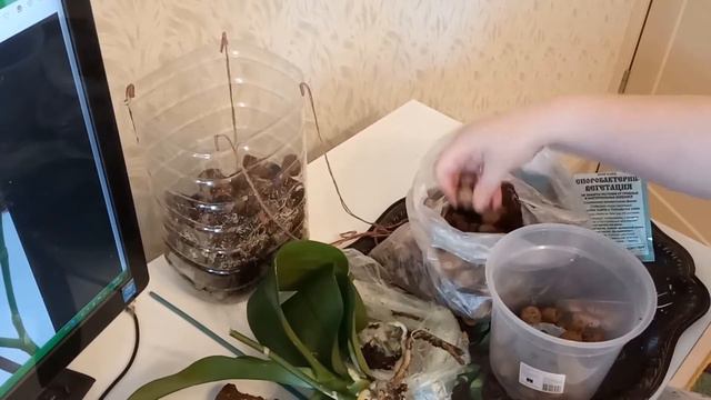 Пересадка орхидеи в кору и керамзит смотреть онлайн