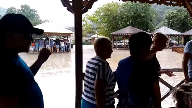 Высокогорная пасека (Абхазия) смотреть онлайн