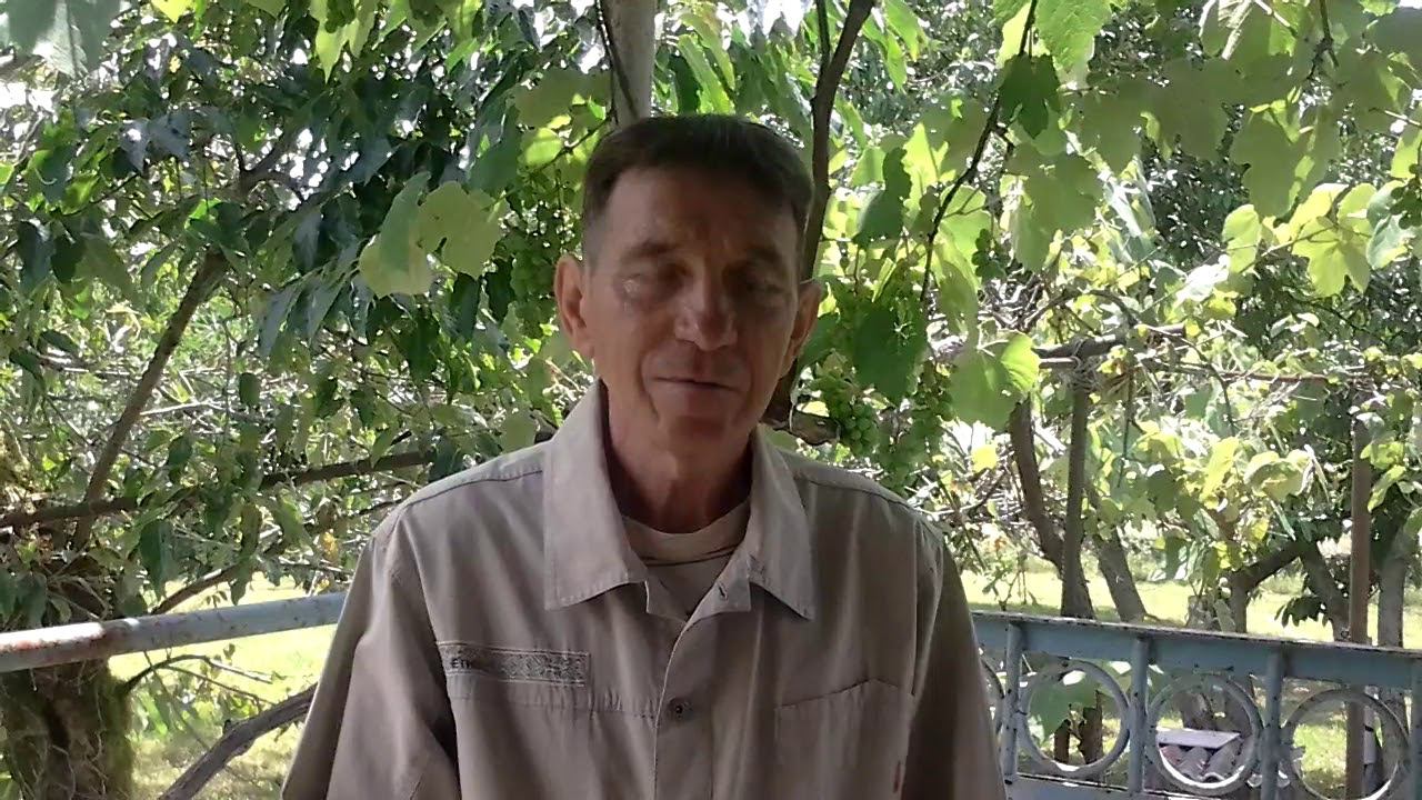 Миф о необходимости много пить воды каждому человеку. смотреть онлайн