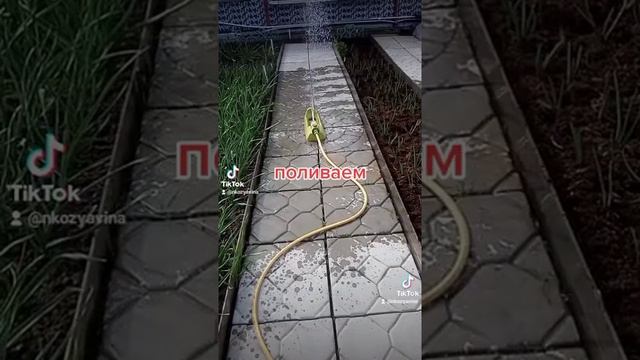 лук взошел, что дальше? смотреть онлайн