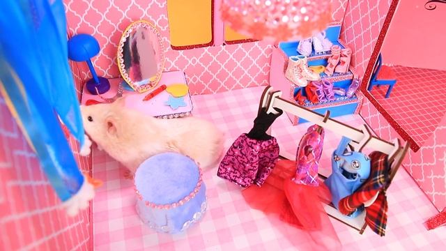 Миниатюрный домик для хомяка в стиле Hello Kitty! Мы построили крошечный кукольный домик для хомяка смотреть онлайн