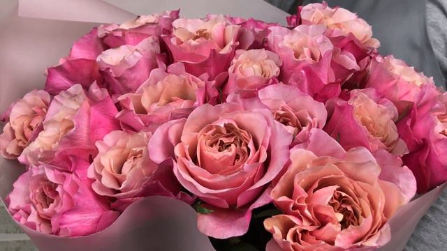 Новинка!!! Мияби! смотреть онлайн