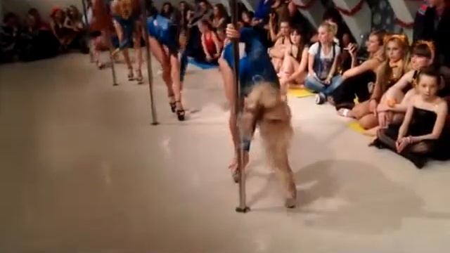 Номер Снегурочки - Magic Pole Tomsk - Новогодняя сказка - 2013. смотреть онлайн