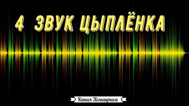 Любимые звуки для кошек котов и собак Звуки для котов и кошек Звуки для собак Бесячие звуки для кот
