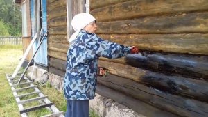 Красим бревенчатый дом отработанным машинным маслом.