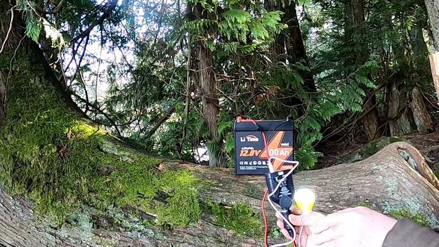 DIY OFFGRID POWER BASICS USING THE LiTime 12v 100ah Mini - Charge Devices, Run Lights, Cook Food