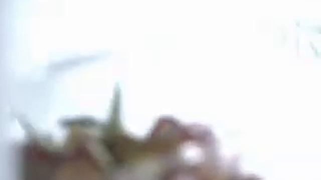 nord broadcast1 ukr10 смотреть онлайн