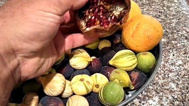 Ещё один сбор урожая из нашего сада. смотреть онлайн