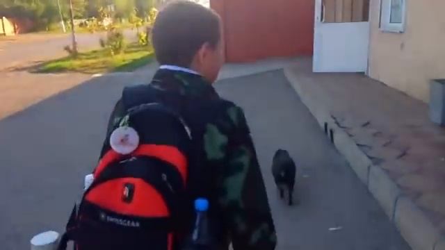 фрукты*школа*наши будни*