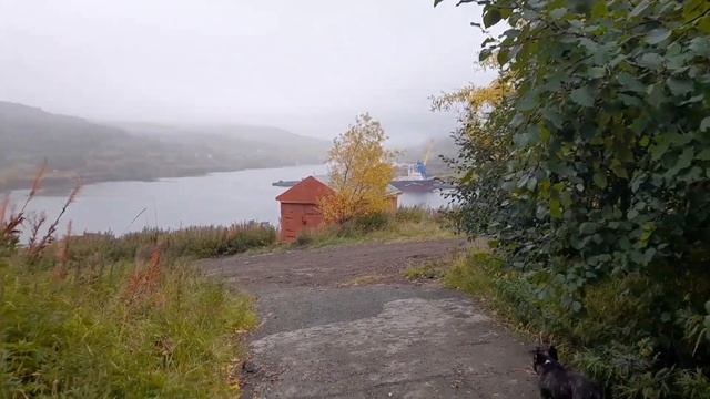 Камчатка?Осень.Поделка в детский сад? смотреть онлайн