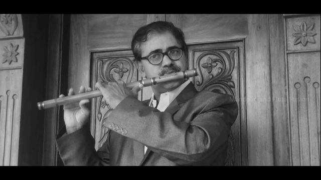 Puja Phalam | పగలే వెన్నెల | Flute Cover | GattiSKD смотреть онлайн