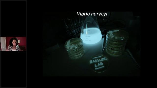 Women & Science Virtual Event: Tiny Conspiracies: How Bacteria Talk to Each Other смотреть онлайн