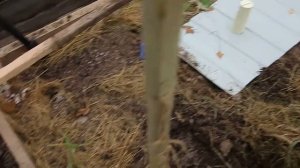 ⚡? Обработка теплицы серной шашкой ФАС