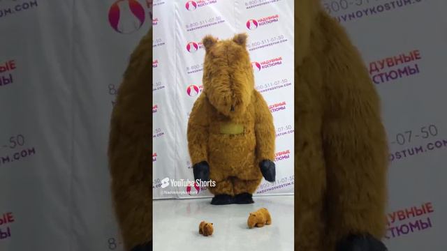 Надувной Костюм Капибары, о котором говорят все! #капибара #capybara