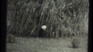 Закат солнца вручную