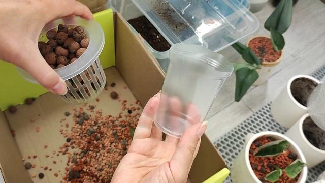 Пересадка растений из seramis смотреть онлайн