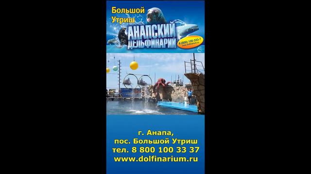 Анапа. Дельфинарий на Большом Утрише. смотреть онлайн