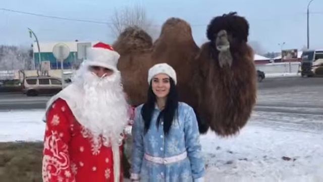 Дед Мороз и Снегурочка 2018. Прикол Верблюд смотреть онлайн