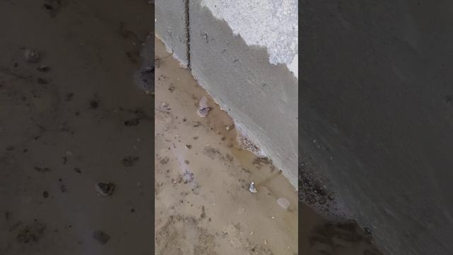 прокачка смолой бетонной поверхности, кирпичной кладки однокомпонентный и двухкомпонентные составы