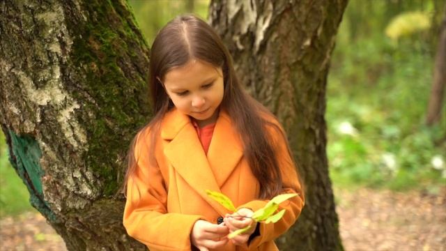 Как снять шедевр на дешевую кроп камеру за 10000 рублей? смотреть онлайн